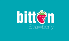 Bitten Strawberry